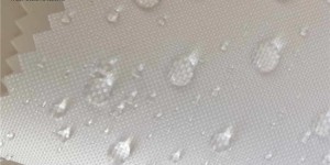 Which is better, polyester or oxford cloth?