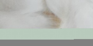 What material is viscose (what is viscose fiber fabric)