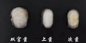 What does Shuangqiao silk mean (what is the difference between mulberry silk and pure silk)