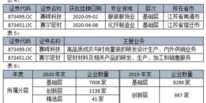 IPO listing status of textile and apparel companies in Shanghai and Shenzhen cities in 2020