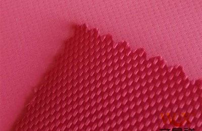 What are the characteristics of polyester waterproof coating?