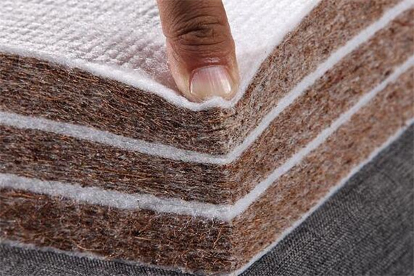 椰棕床垫会不会生虫