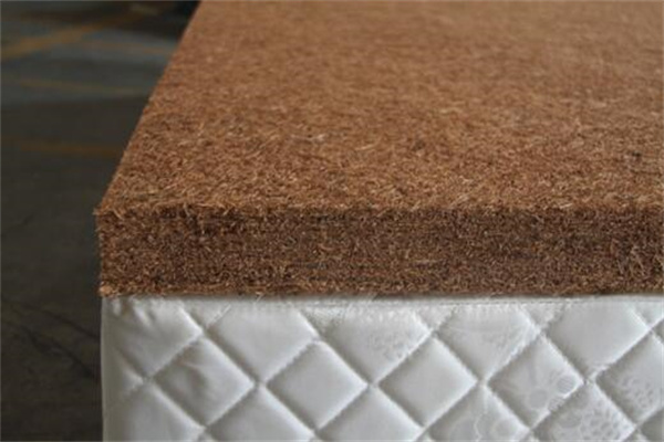 椰棕床垫与乳胶床垫哪个好