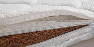 Which one is better, latex mattress or coconut palm mattress
