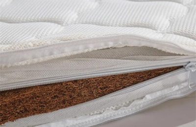 Which one is better, latex mattress or coconut palm mattress