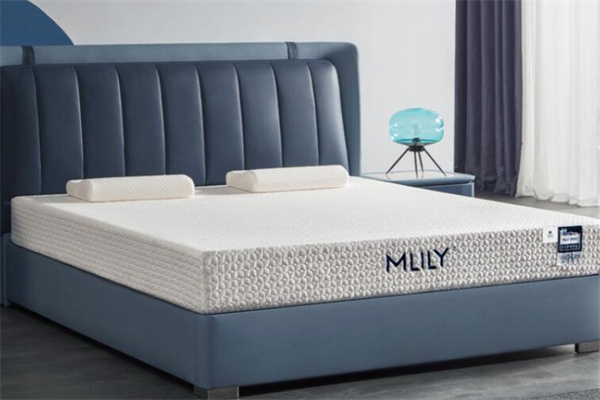 Which one is better, the Dream Lily mattress or the Mousse mattress?