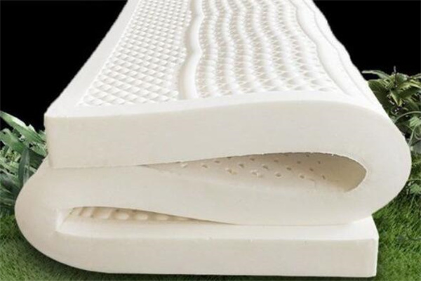 Which is better, latex mattress or coconut palm mattress