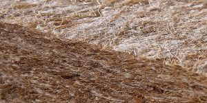What is the difference between latex mattress and coconut palm mattress
