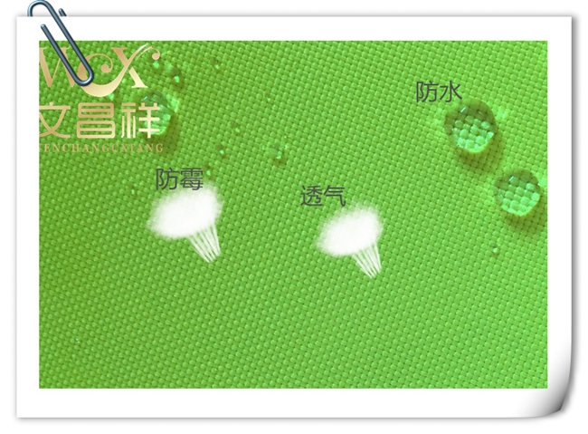 PU waterproof coating  